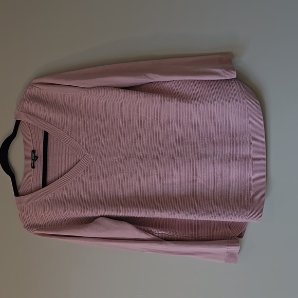 Hilary Radley Sweaters - Hilary Radley Soft Pink V-Neck Sweater – Women's XL